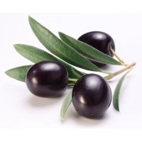 Olive schwarz, natürlich - Vakkumgetrocknete Rondelles
