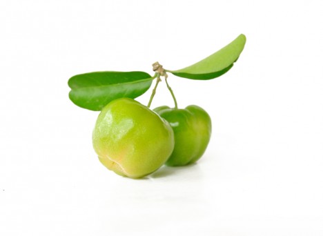 Grüne Acerola - Vakkumgetrocknete Gantz