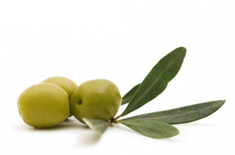 Olive grün - Vakkumgetrocknete Rondelles